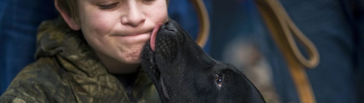 Do dogs see us as their Parents or Masters?