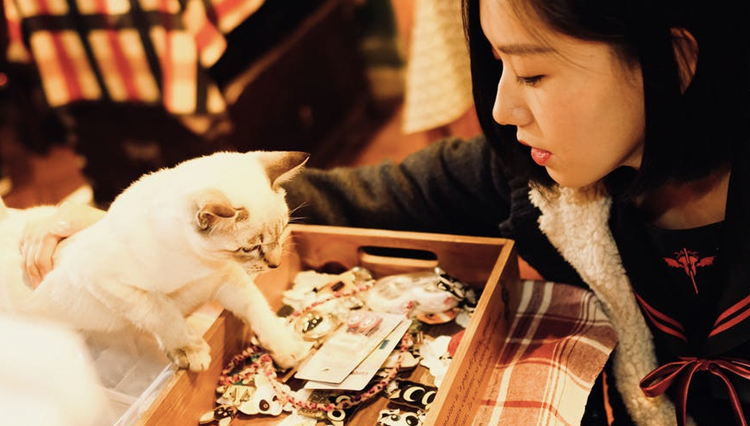 Cats care more about people than food, new study finds