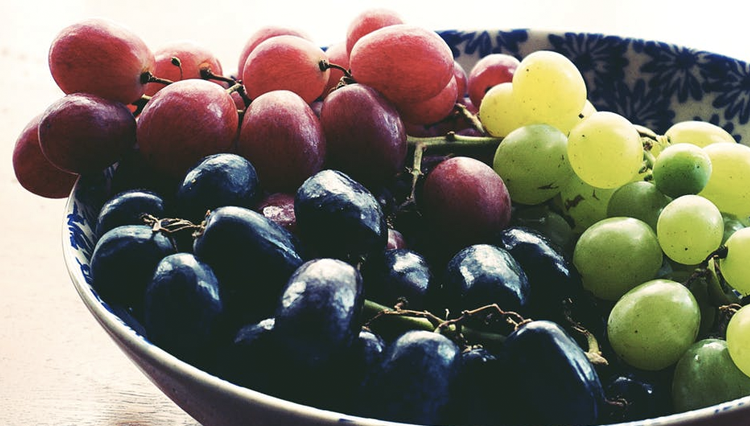 Can dogs eat grapes?