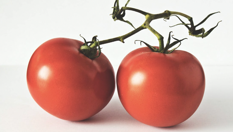 Can dogs eat tomatoes?