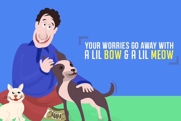 Your worries go away with a Lil Bow and a Lil Meow
