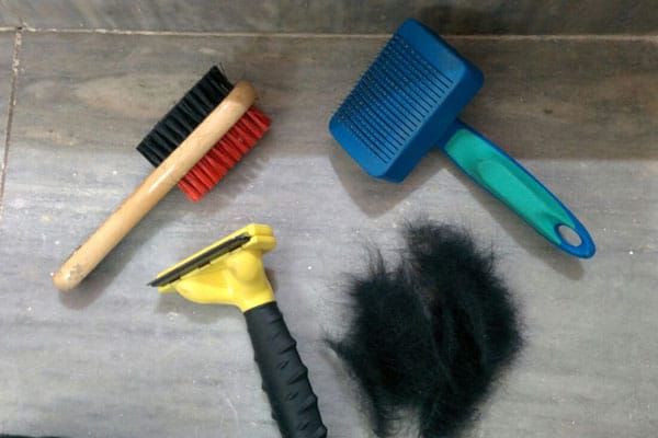 Tips to Reduce Hair Shedding in Dogs