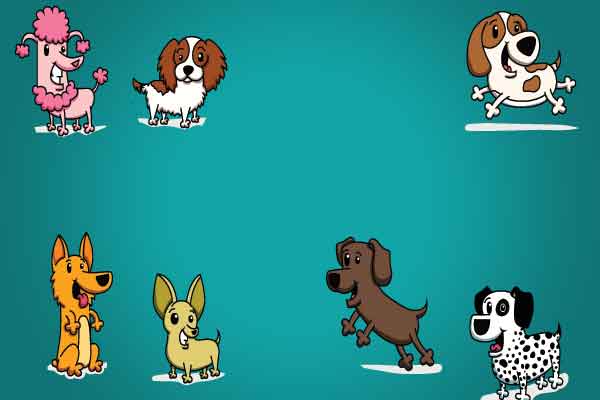 7 Reasons that will motivate you to get a dog