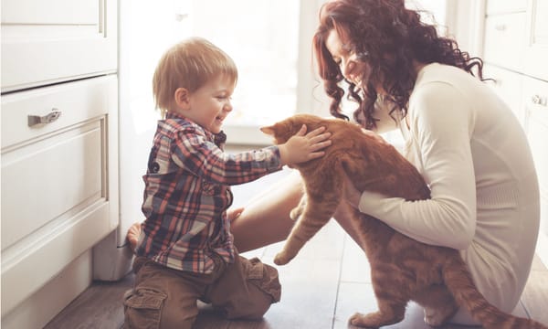 Five THINGS YOUR PET TEACHES YOU