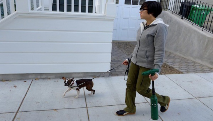 Every dog needs its daily walk, some more than the others